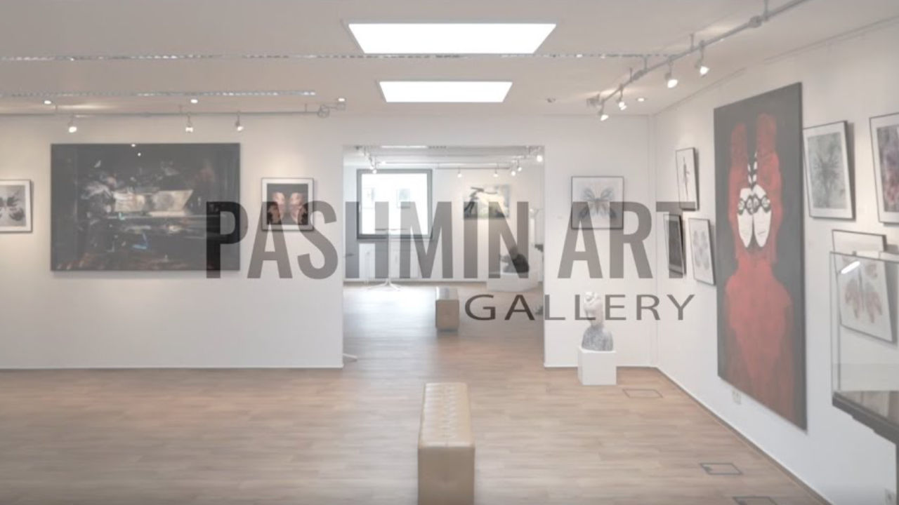 Pashmin Art Gallery (General Introduction)